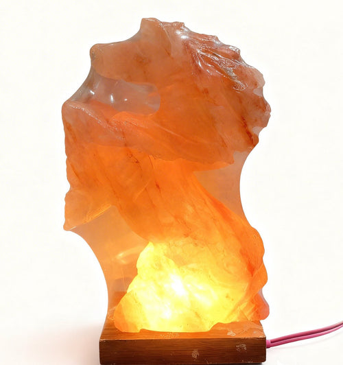 Horse carved salt lamp on white background
